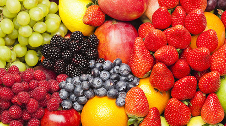 Exporter of Premium Seasonal Fruits