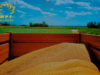 Greenhouse Foodstuff Trading