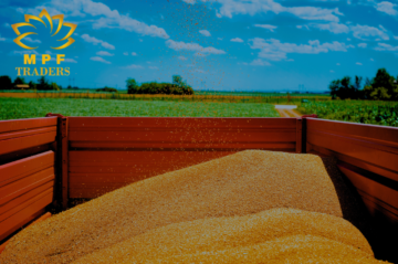 Greenhouse Foodstuff Trading