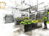 Silver Line Gate Foodstuff Trading