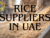 rice suppliers in UAE 1