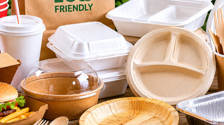 Disposable food packaging wholesale Dubai UAE